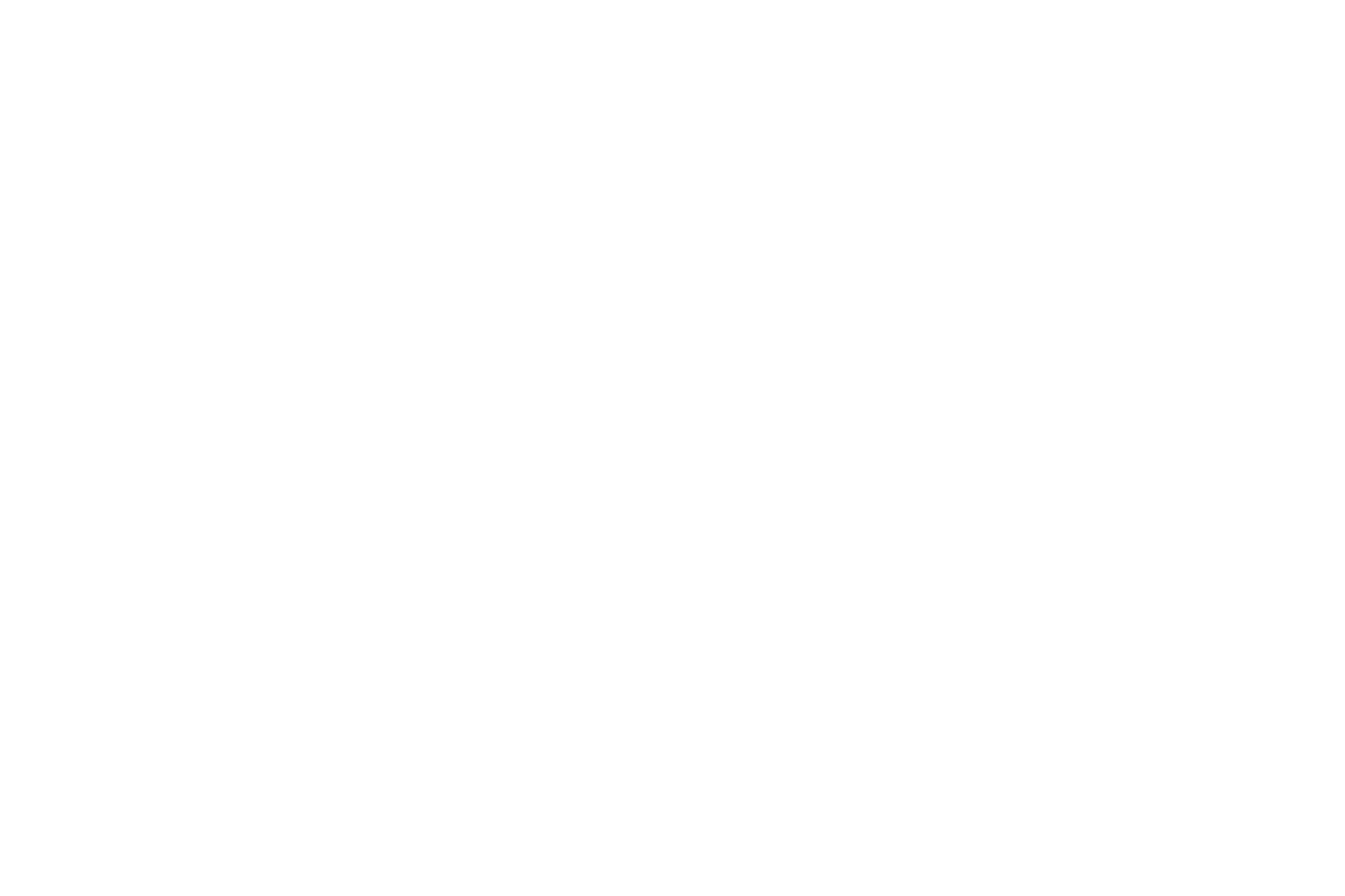 Gabriele Ferretti – Consulente Business & Marketing